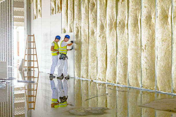 Best Cellulose Insulation in Eagle Mountain, UT